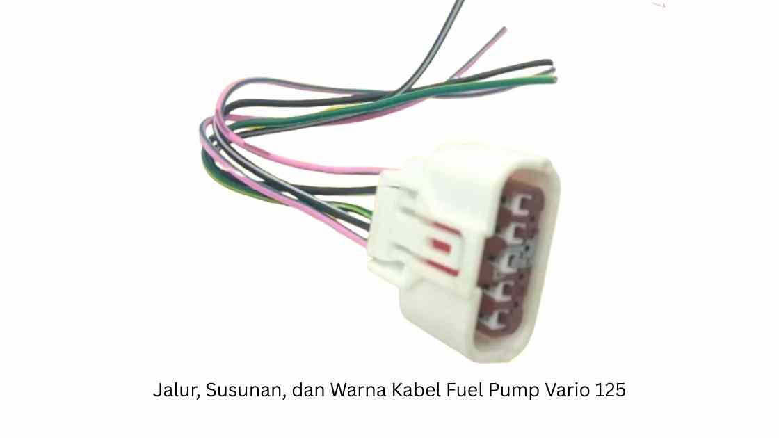 Jalur, Susunan, dan Warna Kabel Fuel Pump Vario 125