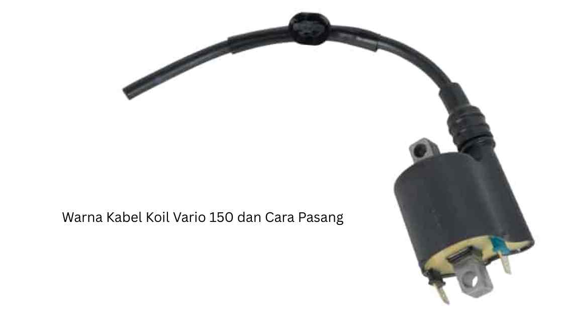 Warna Kabel Koil Vario 150 dan Cara Pasang